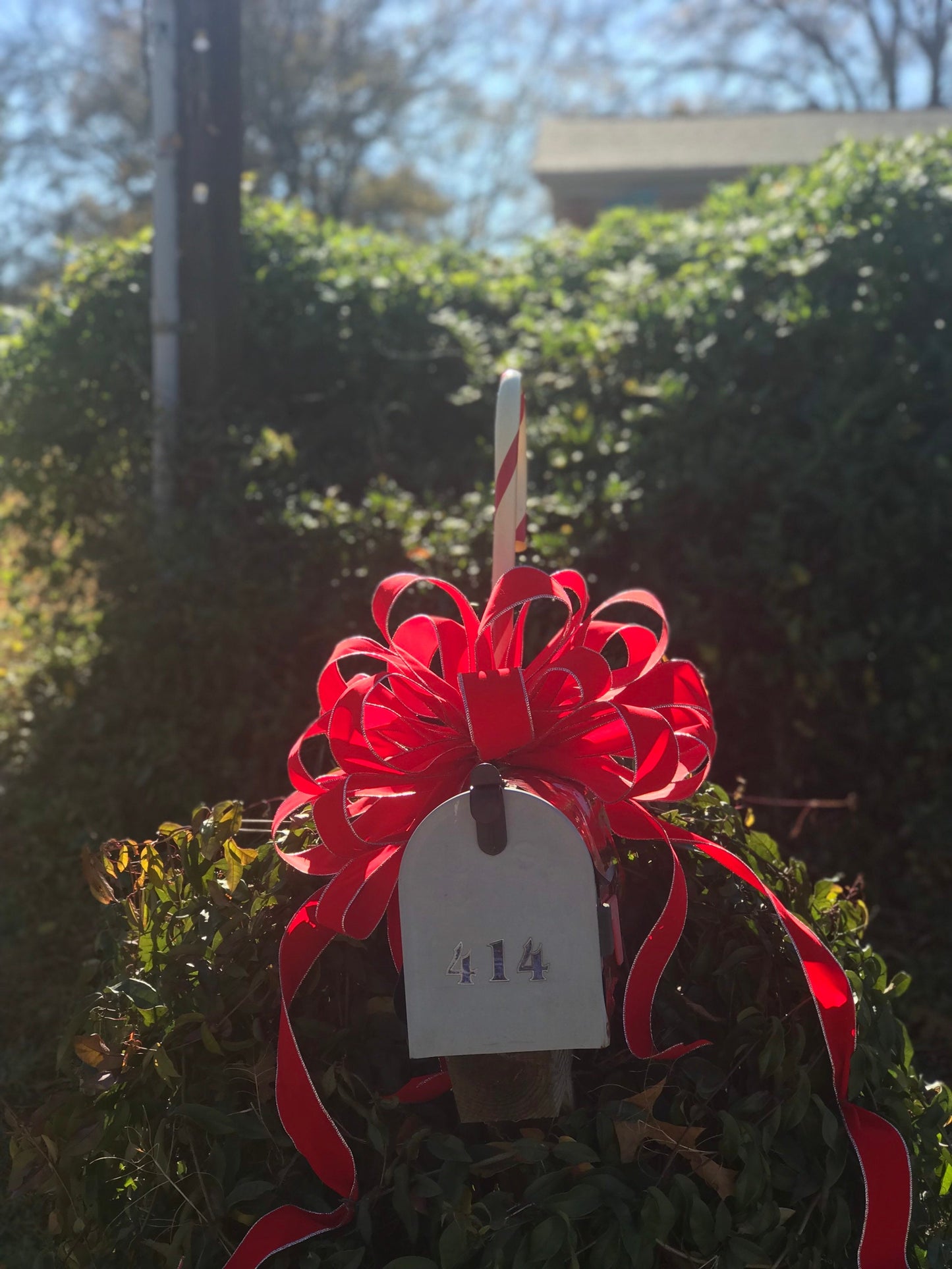 OUTDOOR Red Velvet Silver or Gold Trim Christmas Mailbox bow Weatherproof Christmas Bow 2.5" width wired red velvet