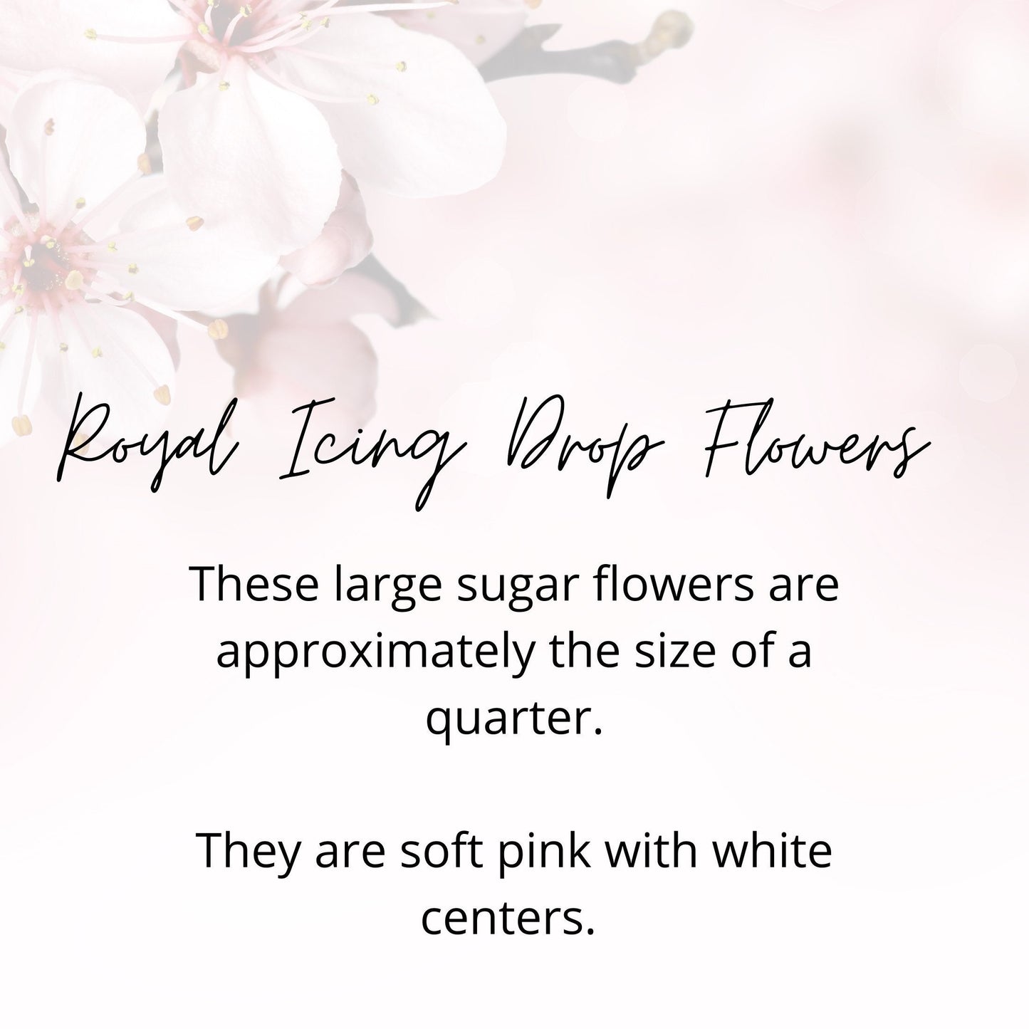 Royal Icing Flowers Large Soft Pink Edible Drop Flowers  Sugar Flowers for Cake Decorating Cookie Decor Cake Toppers